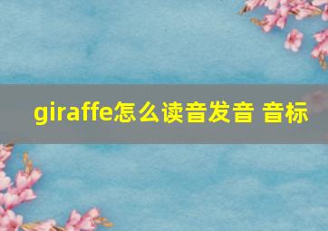 giraffe怎么读音发音 音标